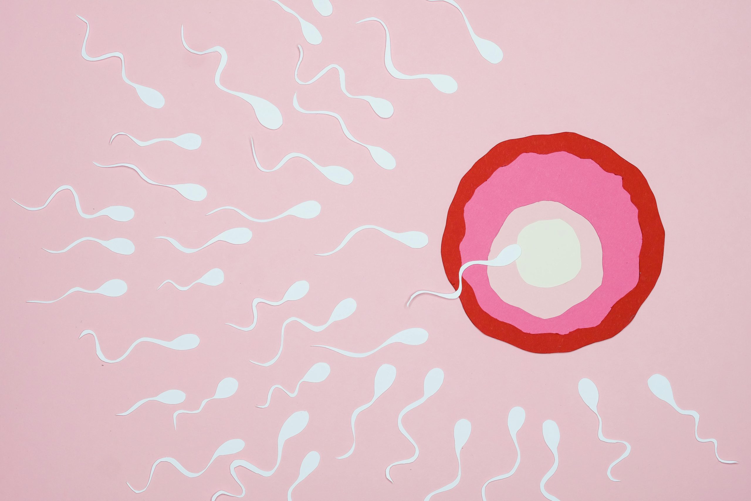 Does Testosterone Affect Fertility?