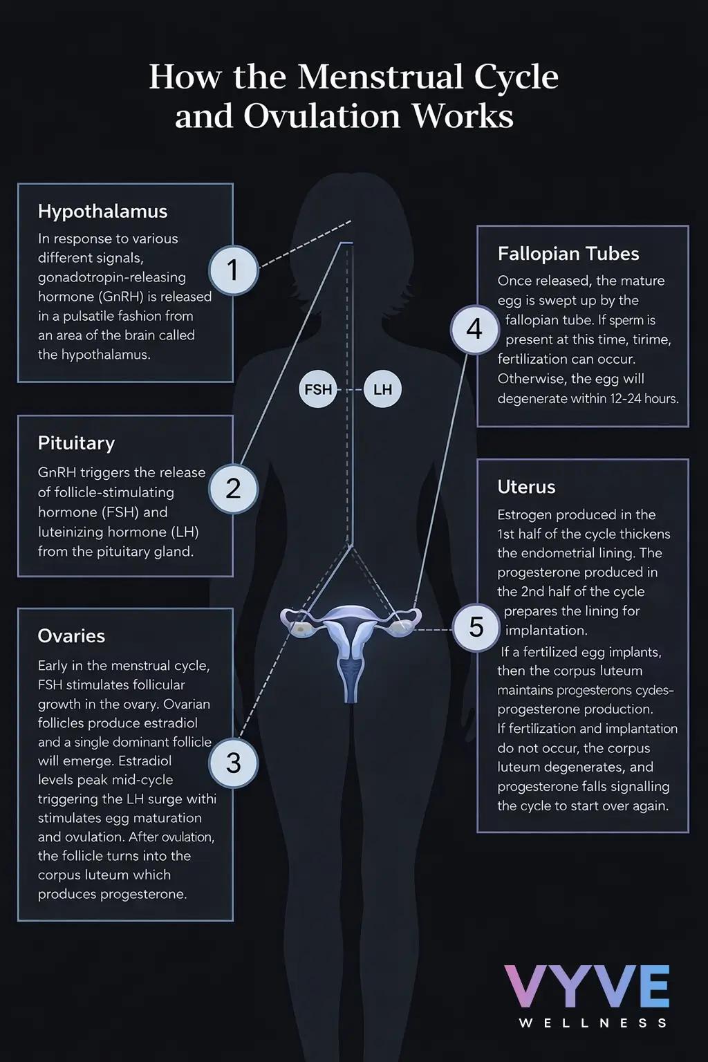 Hormonal regulation of ovulation and the menstrual cycle
