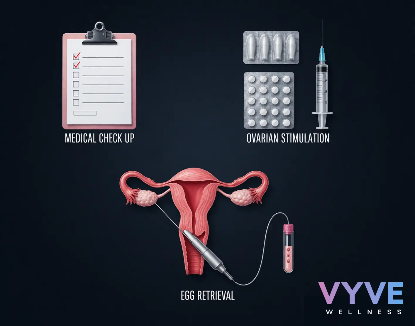 3 step process for egg freezing and egg retrieval